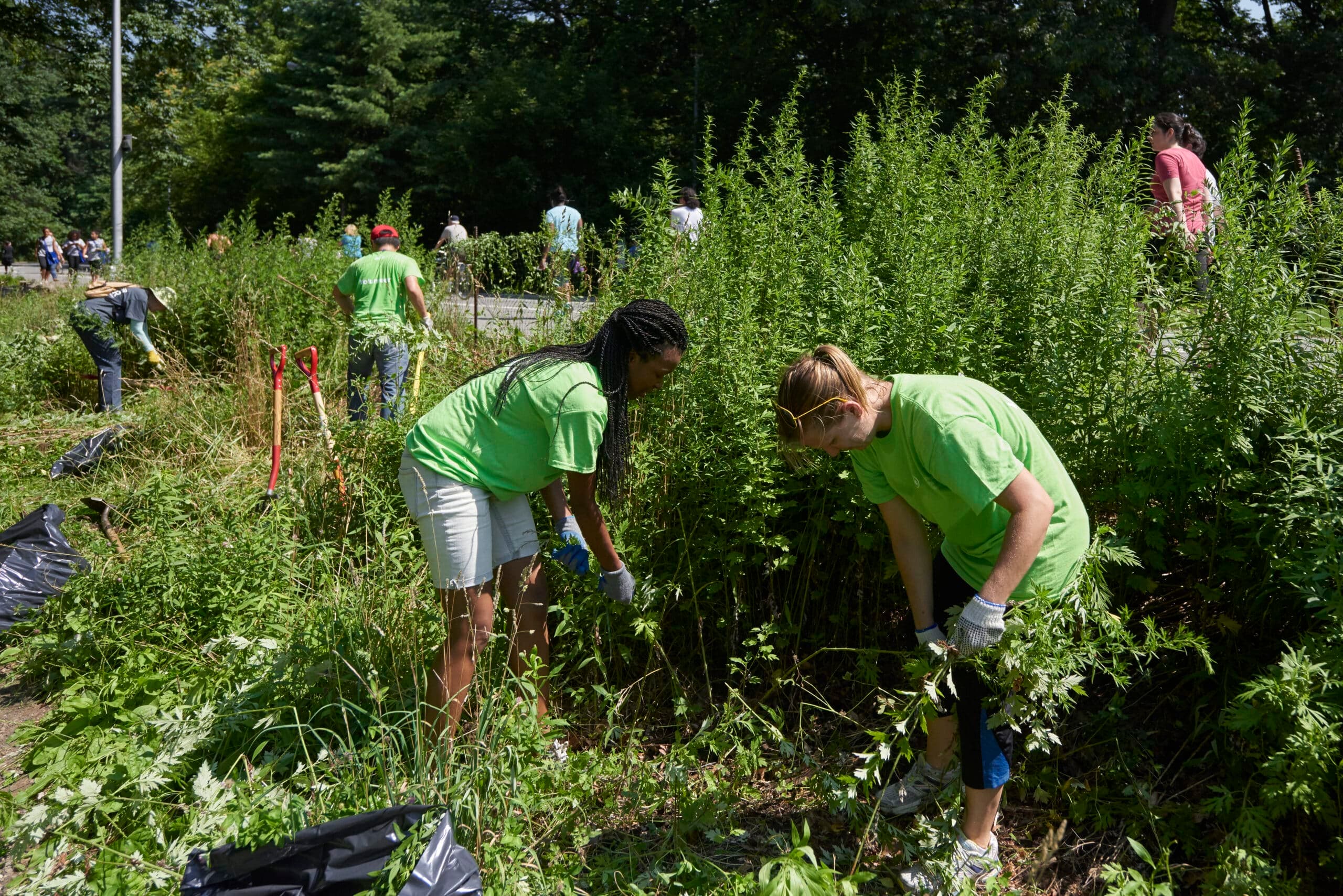 Park Pitch In: World Sustainability Day