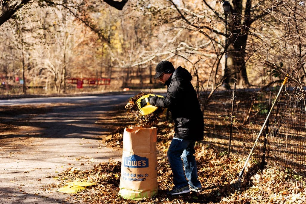 Fall Fix-Up