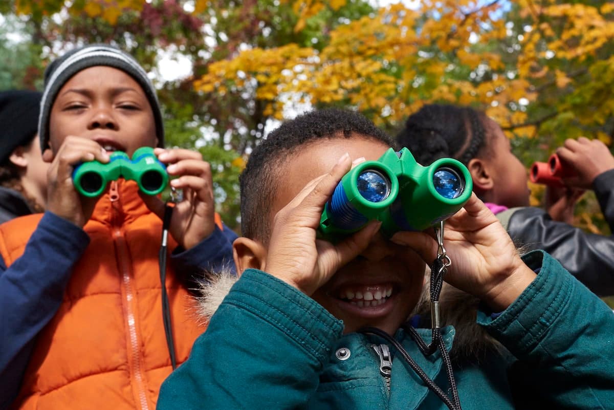 Nature Exploration: Tree Appreciation Month